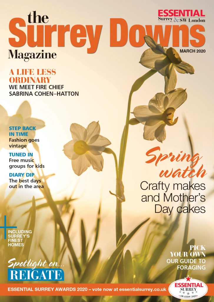 Sheengate Publishing Local Lifestyle Magazines In Surrey And Sw London 5273